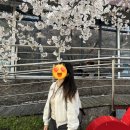 리에 헤어: 대구 중구 미용실 레이어드 커트 후기