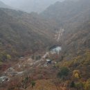갈바람 Daum카페