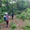 내곡동444 이미지