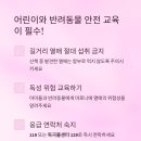 마로니에화장품