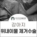 아이조은동물병원 이미지
