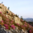 Re:덕룡산-주작산(강진,433m) 이미지