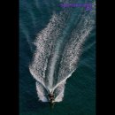 현대디씨렌트카 이미지