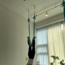 요가초급반 이미지