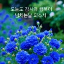 춘장대에서 신나~~신나~~ 이미지