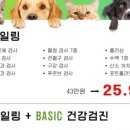 강남다온동물병원