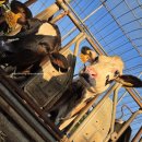 수란목장 이미지