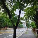 화정초교 이미지