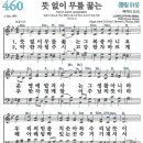 460 이미지