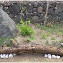 올래펜션민박 이미지