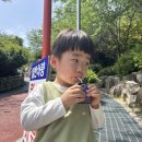 자람터어린이집 | 일상기록. 수정산 꿈자람터 주말 이용 후기