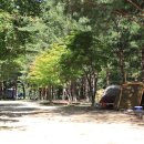 오투캐빈 이미지