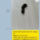 도그원동물의료센터 이미지