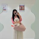젤리젤라젤리킹20 네이버블로그