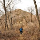 앵산꾀꼬리길 이미지