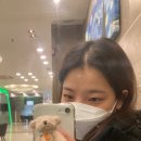 영대연합안과의원 이미지