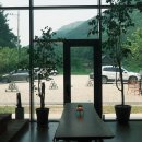 수연목서