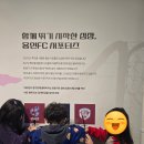분당중앙유치원 Daum카페