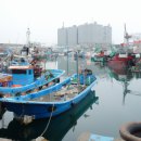 도장포어촌체험마을 이미지