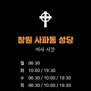 사파동281 이미지