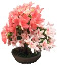 논현역공인중개사사무소 이미지