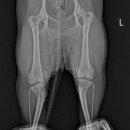 검단이담동물의료센터 이미지