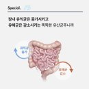 미국 판매 1위 유산균 컬처렐 데일리 프로바이오틱스 후기