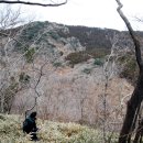 선흘리에 이미지