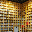 지혜의숲 이미지