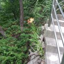 운문사사리암주차장 이미지