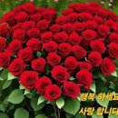 수요일 이미지