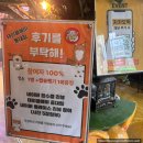 주식회사 테이블에이 고양이카페 | 홍대실내놀거리 합정데이트 추천 테이블에이 동물원카페 먹이주기 체험 솔직후기