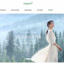 홀릭코리아 이미지