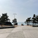 대천공인중개사사무소 이미지