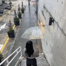 유쏘뷰티
