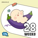 유통제왕주 | [깡총이 일기ო̤̫] 우리집에서 보낸 마지막 임신 기간이 될지 몰랐던 | 임신 28-31주차 일기