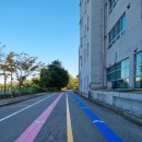 용인세무서 | 용인 세무서 주차장도색부터 하이패스, 횡단보도까지 시공 완료