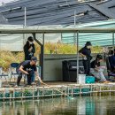 서곡낚시터 이미지