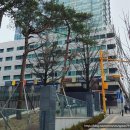 아크로비스타 아케이드 지하 삼순이 호두파이 방문 후기 [22년 3월]
