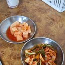 천진동 만두 버섯전골 | 새해 푸드로 먹고 온 춘천 맛집 천진동 만두전골