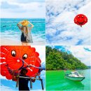 (주)화진관광여행사 | 코타키나발루 패키지 여행 스냅 호핑투어 단독 투어 여행사 후기