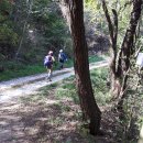 마륜농장 이미지