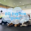 [천안] 용곡동 대형견 카페 실내유치원과 24시 호텔링까지하는 멍카페유