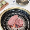 신도세기보라매 이미지