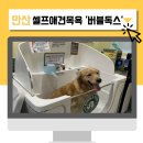 그루밍독스 | 안산 대형견 리트리버도 이용가능한 24시 애견셀프목욕 ‘버블독스’ 초지점