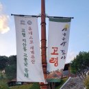 문화유산 - 가야 문명의 길 ① 고령 지산동 고분군 이미지