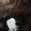 대림회관 | [경주여행] 전촌용굴, 대림물회, 불국사 코지브릭