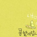 이얀 이미지