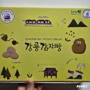 강릉중앙시장 먹거리 맛집 추천: 회, 어묵고로케, 오징어순대나라, 길감자