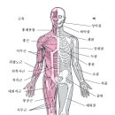 이바롬에스테틱